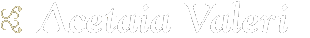 Aceto Balsamico Valeri logo